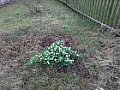 Jarní vycházka 24.3.2017