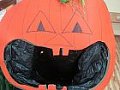 Halloween 31.10.2014