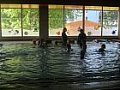 Plavecký výcvik 29.5.2017